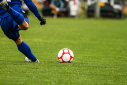 スポーツ観戦での利用イメージ